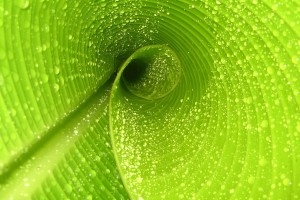 世界举重青年联赛赛制创新试点成功，世界举重比赛规则