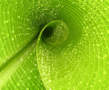 世界举重青年联赛赛制创新试点成功，世界举重比赛规则