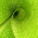 世界举重青年联赛赛制创新试点成功，世界举重比赛规则