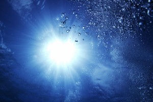 世界举重康复在线课堂新增康复效果追踪仪表盘上线，世界举重比赛
